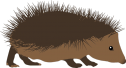 Vector graphic of a hedgehog