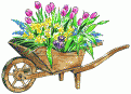 Image of flowers in wheelbarrow