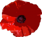 Vector graphic of a red poppy